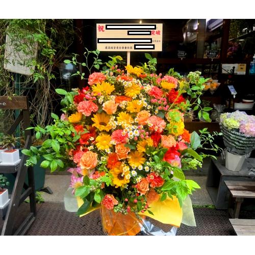 �J�X�E�J�ƁE�ړ]�j���u�I�����W���[�Y�A�����WLL�v