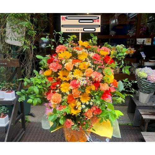 �J�X�E�J�ƁE�ړ]�j���u�I�����W���[�Y�A�����WLL�v2
