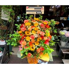 �J�X�E�J�ƁE�ړ]�j���u�I�����W���[�Y�A�����WLL�v