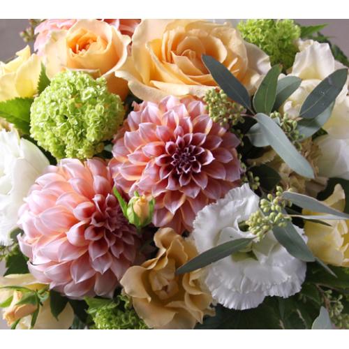 �I���W�i���A�����W�����g �k�C�G���[2