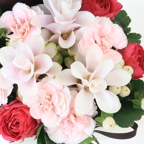 �t�����A���u�V�����}���X�y�V�����e�v3