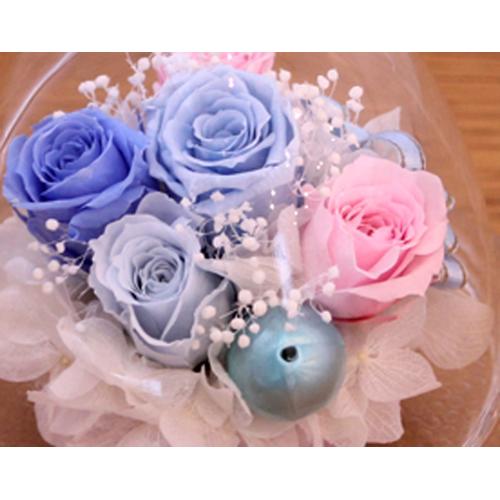 �v���U�[�u�h�A�����W�u�G�^�j�e�B�v4
