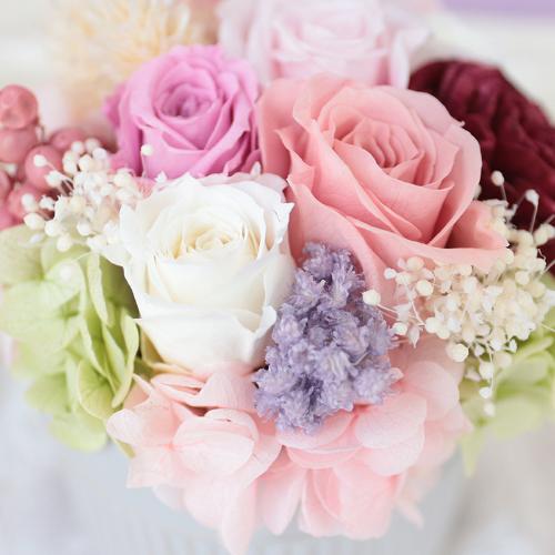 �v���U�[�u�h�A�����W�u���E�i�`���[���v3