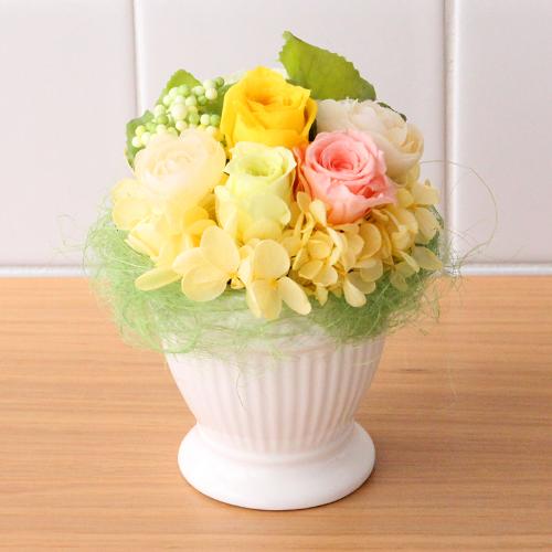 �v���U�[�u�h�A�����W�u�n�j�[�������v