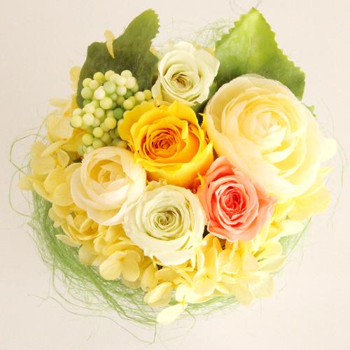 �v���U�[�u�h�A�����W�u�n�j�[�������v3