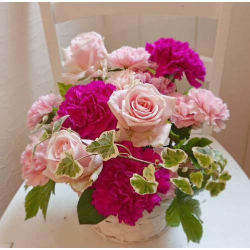 �y�[���s���N���}�[���^�s���N�̃A�����W�����g