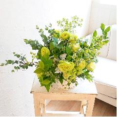 �o���ƃg���R�M�L���E�̑u�₩�O���[���̃A�����W�����g