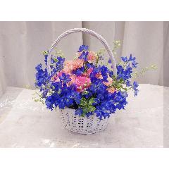 [NEW!]�u���[�̃f���t�B�j���E�����g�����u�₩�ȃA�����W�����g��