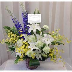 �Ăɂ҂�����̃A�����W�ł��������E�J�[�l�[�V�����E�I���V�W���[���̓������A�����W�����g�ł��B