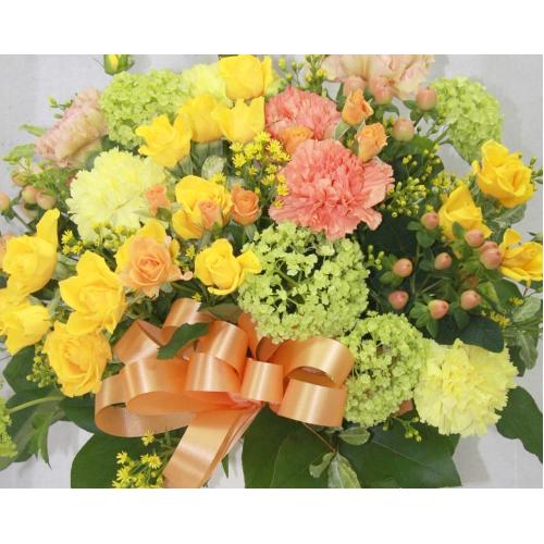 �킪�������I���F�E�I�����W�n�̖��邢�A�����W2