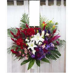 ��i�ȐF�g���I���������ӂ��X�^���h�ԁ@�y��Ȕz�B�n��F�����s������z