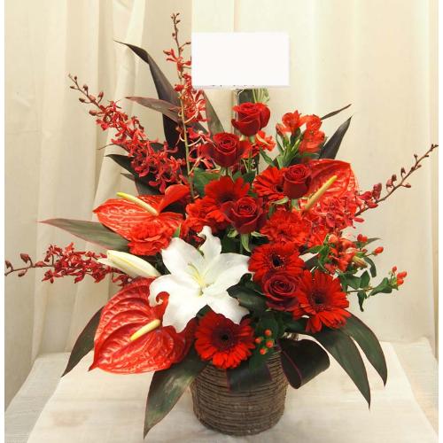 �sNEW !!�t���������|�C���g�̂������A�����W��