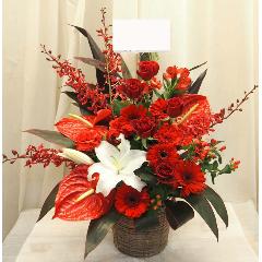 �sNEW !!�t���������|�C���g�̂������A�����W��