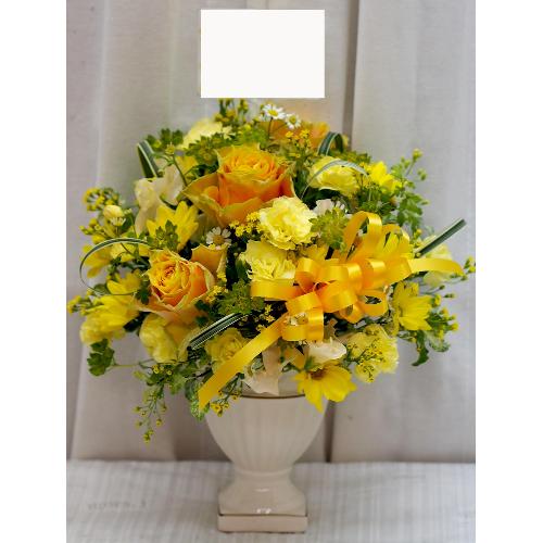�sNEW!!�t�������ō������A�b�v�I���킢���A�b�v�I�ȃA�����W��