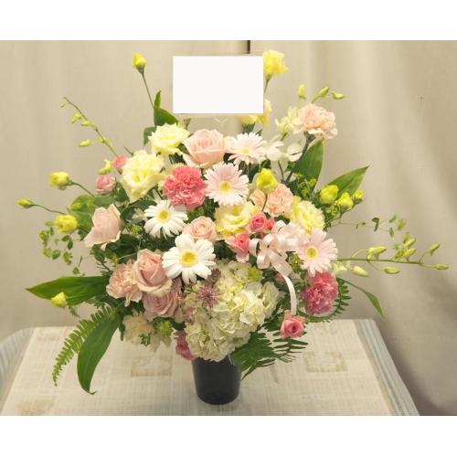 �����đf�G�ȁ�₳�����F�����̃A�����W��