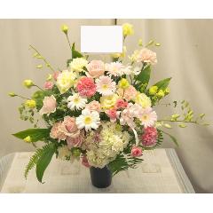 �����đf�G�ȁ�₳�����F�����̃A�����W��