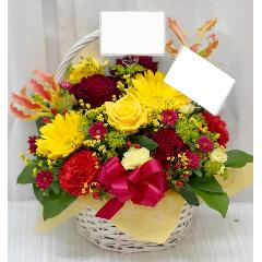 �sNEW!!�t�N�₩�ȐF�����ő�l�����A�����W��