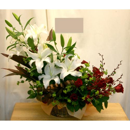 �傫�ȃ��������؂ŏ���؂₩�ɂ���A�����W�I