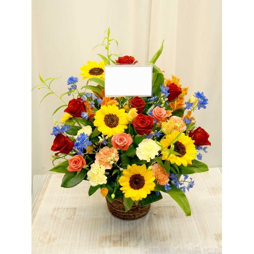 �p�b�Ɩڂɂ��؂₩�A�����W��