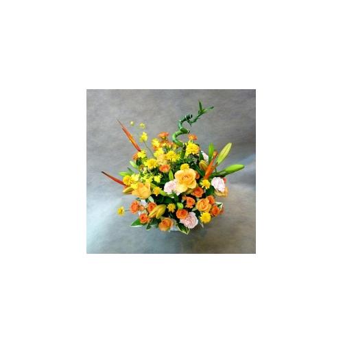 �C���u���I�I�����W�F�ł܂Ƃ߂��A�����W�����g�I