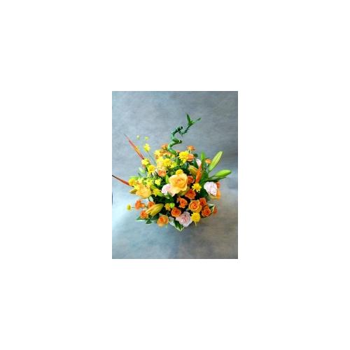 �C���u���I�I�����W�F�ł܂Ƃ߂��A�����W�����g�I4
