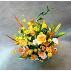 �C���u���I�I�����W�F�ł܂Ƃ߂��A�����W�����g�I