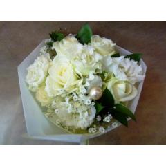 �傫�ȃp�[�����P���@�����̃g�X�u�[�P�I