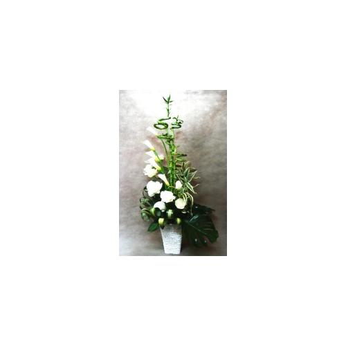 �ɉh�������炷�@�~���I���o���u�[�̖K��
