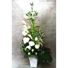 �ɉh�������炷�@�~���I���o���u�[�̖K��