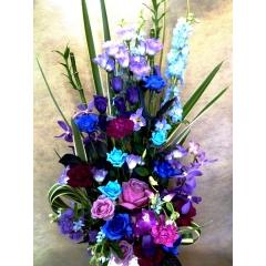 �u���[&�p�[�v���@��&���@���Ԃ̏j���E�E�E��