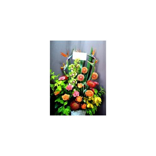 �I�����W�F�̉؂₩�ȉ�2
