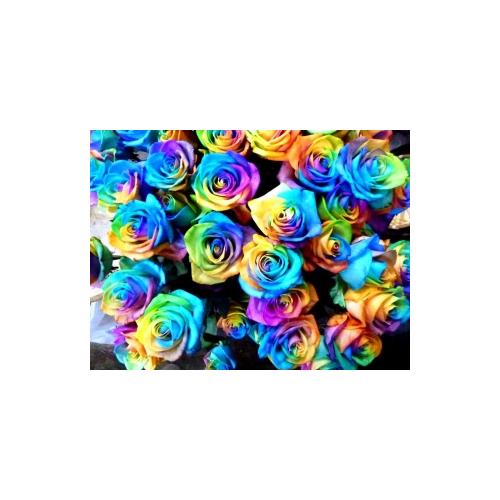 ����p�`�p�`�I�@���C���{�[���[�Y�@���ɔ��̍ՓT3