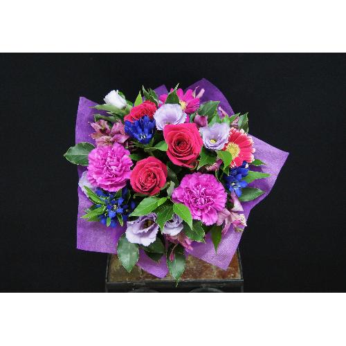 �o�C�I���b�g�n�̂������ȃA�����W�����g