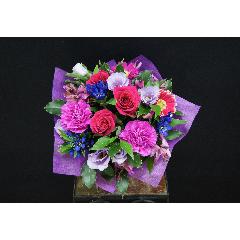 �o�C�I���b�g�n�̂������ȃA�����W�����g