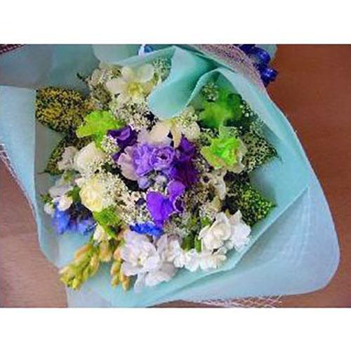 �t�̍��@�z���C�g�E�u���[�n�X�E�B�[�g�u�[�P