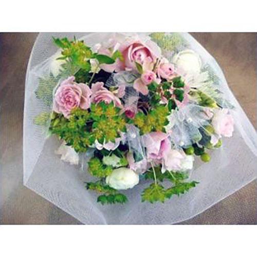 �u���C�_���x�[���ŕ�񂾁@�����J