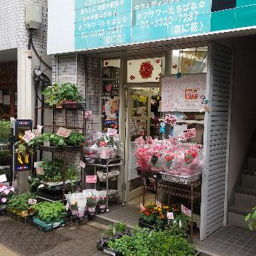 �X�܊O�ω摜