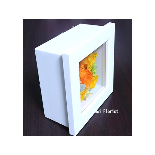 �K���̊z�@�v���U�[�u�h�@���F�n/P4313