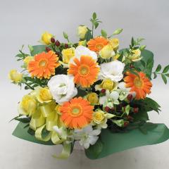 �r�^�~���J���[�̃A�����W(A343�j