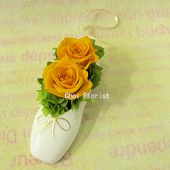 �o�����[�i�̖� /���F�n�@P336