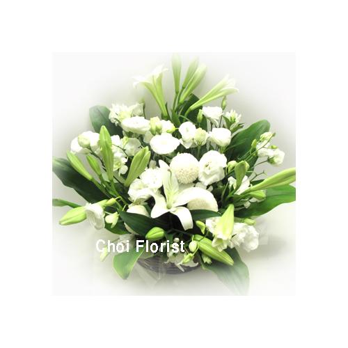 �z���C�g�A�����W�^A102
