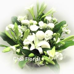 �z���C�g�A�����W�^A102