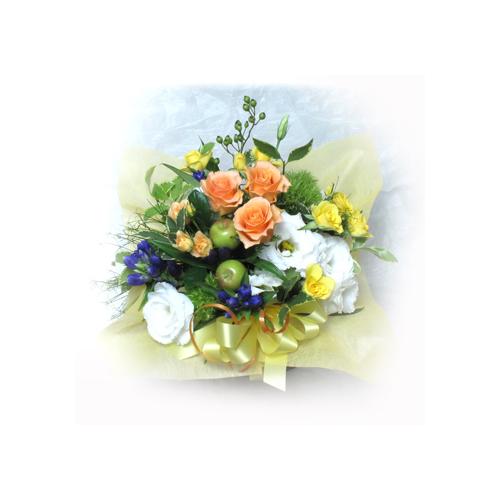 ���炬����Ԃ̋��(A432�j