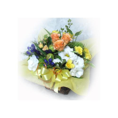 ���炬����Ԃ̋��(A432�j2