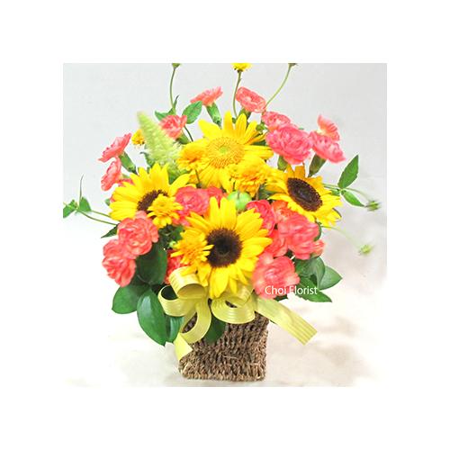 �q�}�����A�����W�^A251