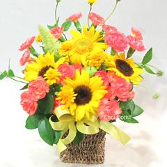 �q�}�����A�����W�^A251