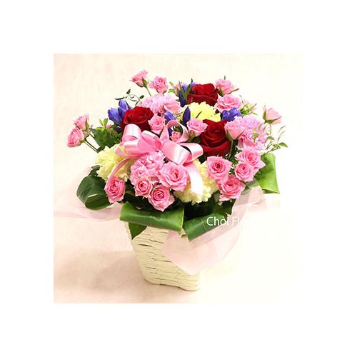 �؂₩�ȃA�����W�^A15712