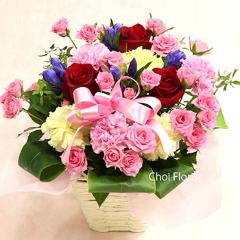 �؂₩�ȃA�����W�^A1571