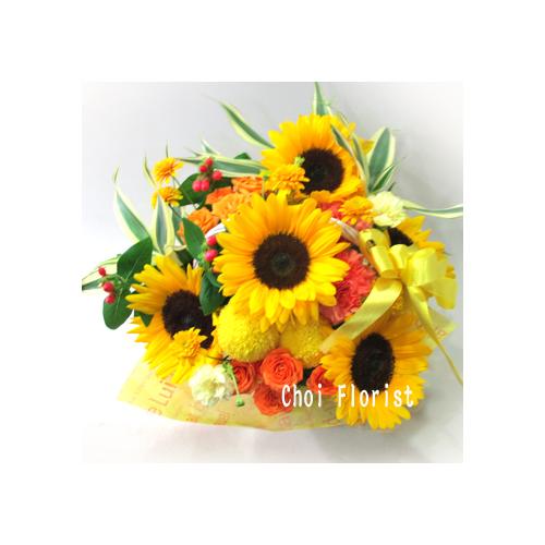 �q�}�����A�����W�^A722