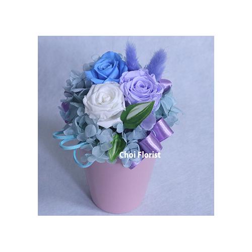 �u�[���A�p�[�v���n�v���U�[�u�h/P4452